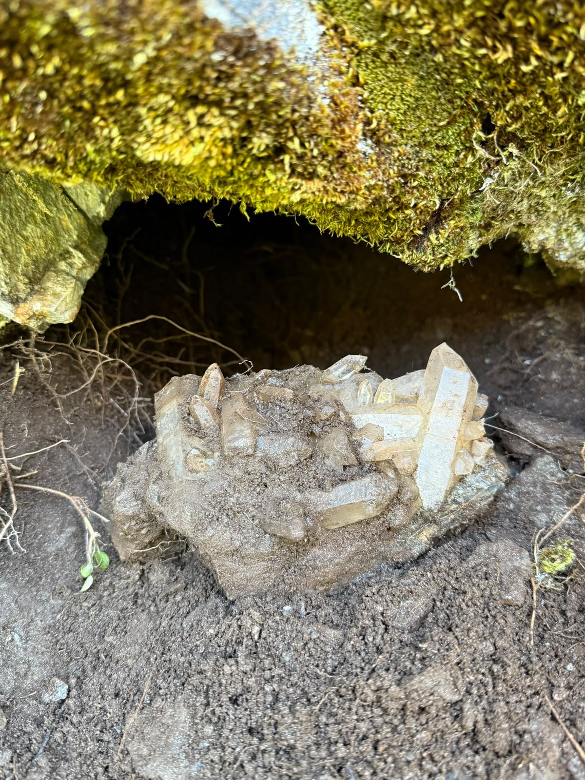 Bergkristallstufe vor der Kluft