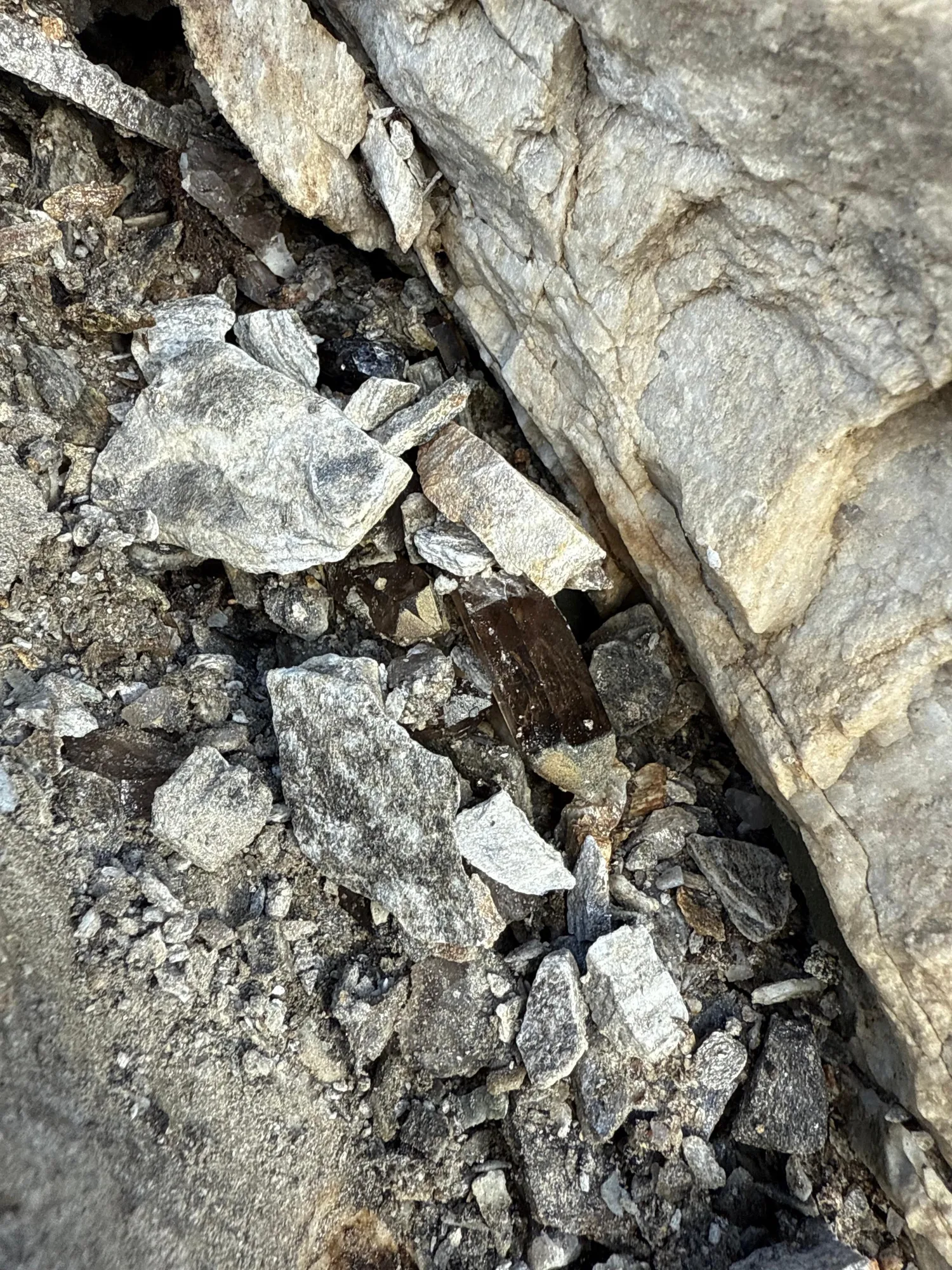 Eine offene Kluft. Die dunklen Rauchquarzspitzen sind bereits zu erkennen.