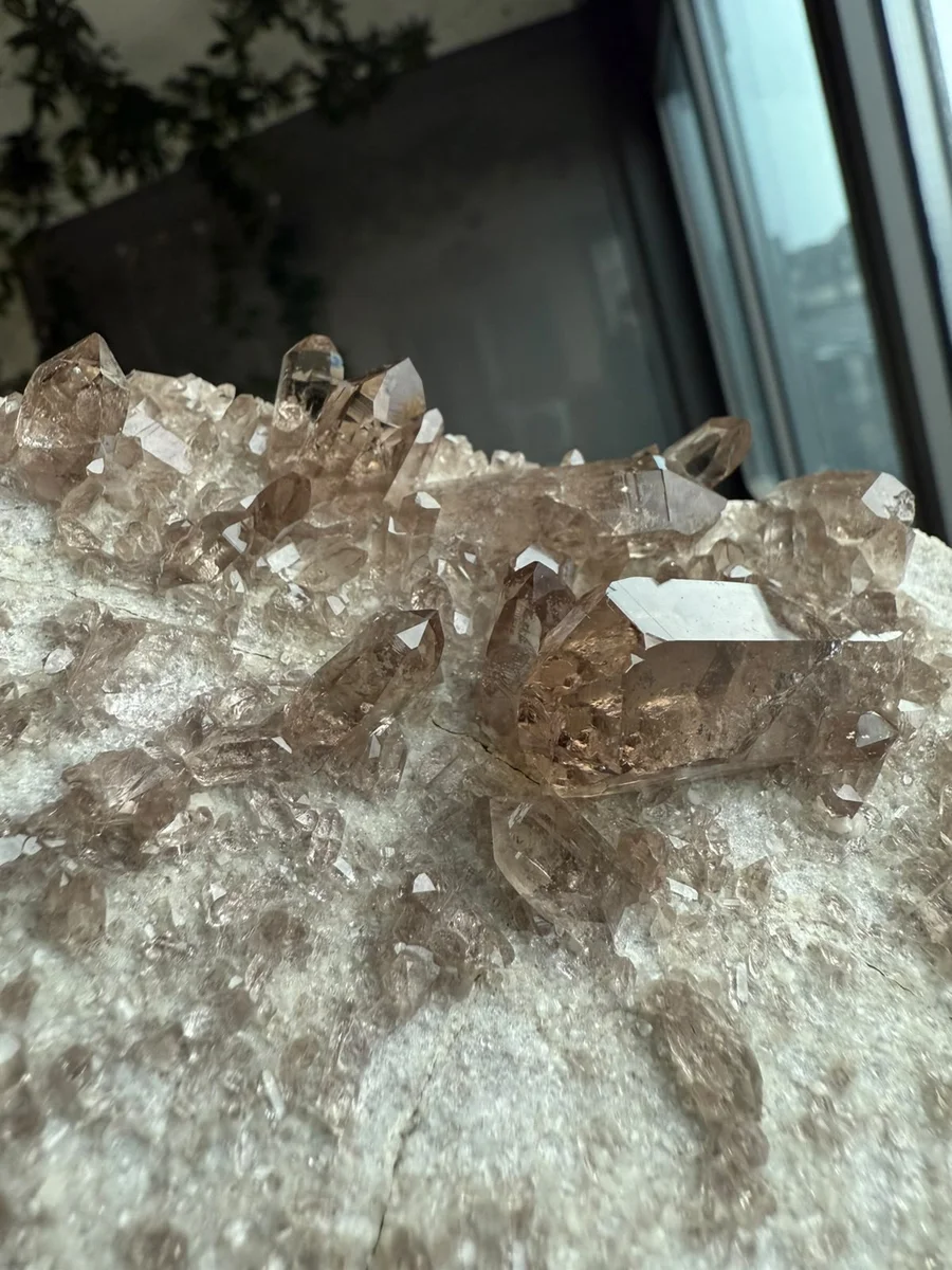 Rauchquarze auf Muttergestein - Bild 6