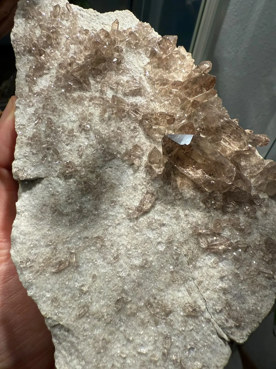 Rauchquarze auf Muttergestein - Bild 11