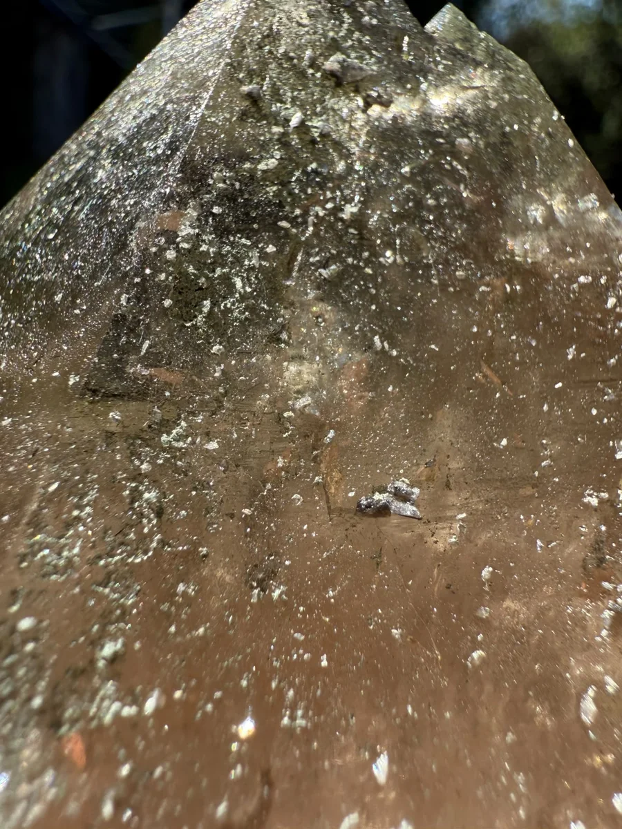 Rauchquarzspitz mit Titaniten und Muttergestein - Bild 11