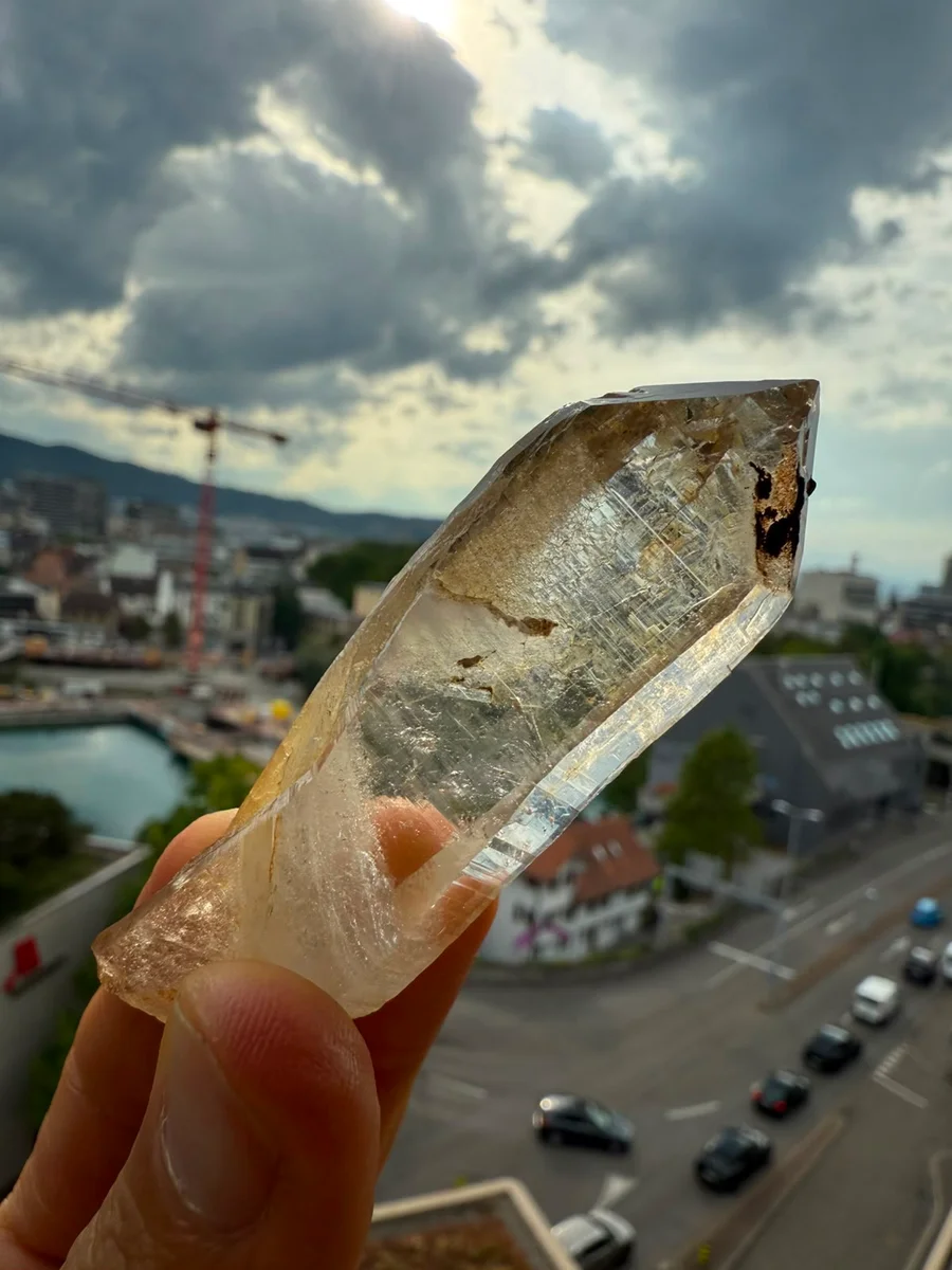 Kombination aus Spitz und Grüppli - Bild 11