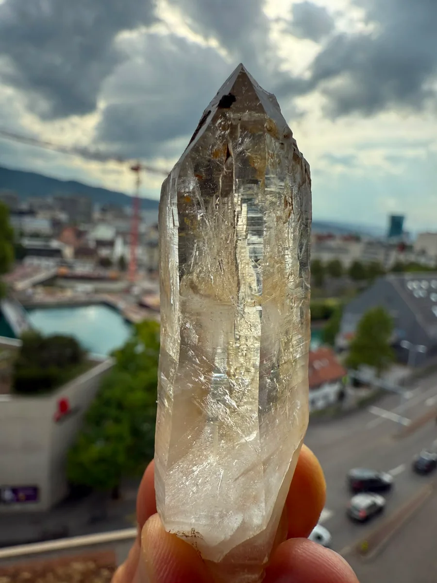 Kombination aus Spitz und Grüppli - Bild 2