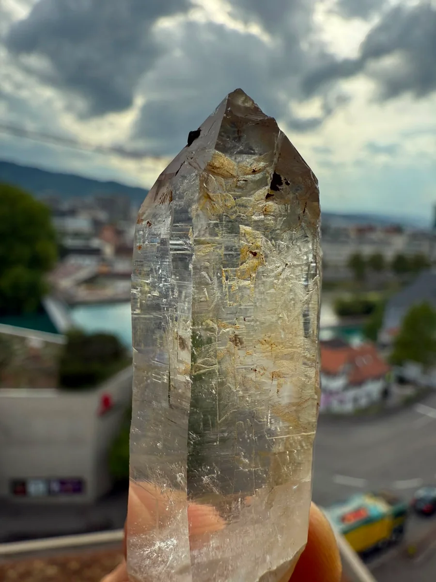 Kombination aus Spitz und Grüppli - Bild 4