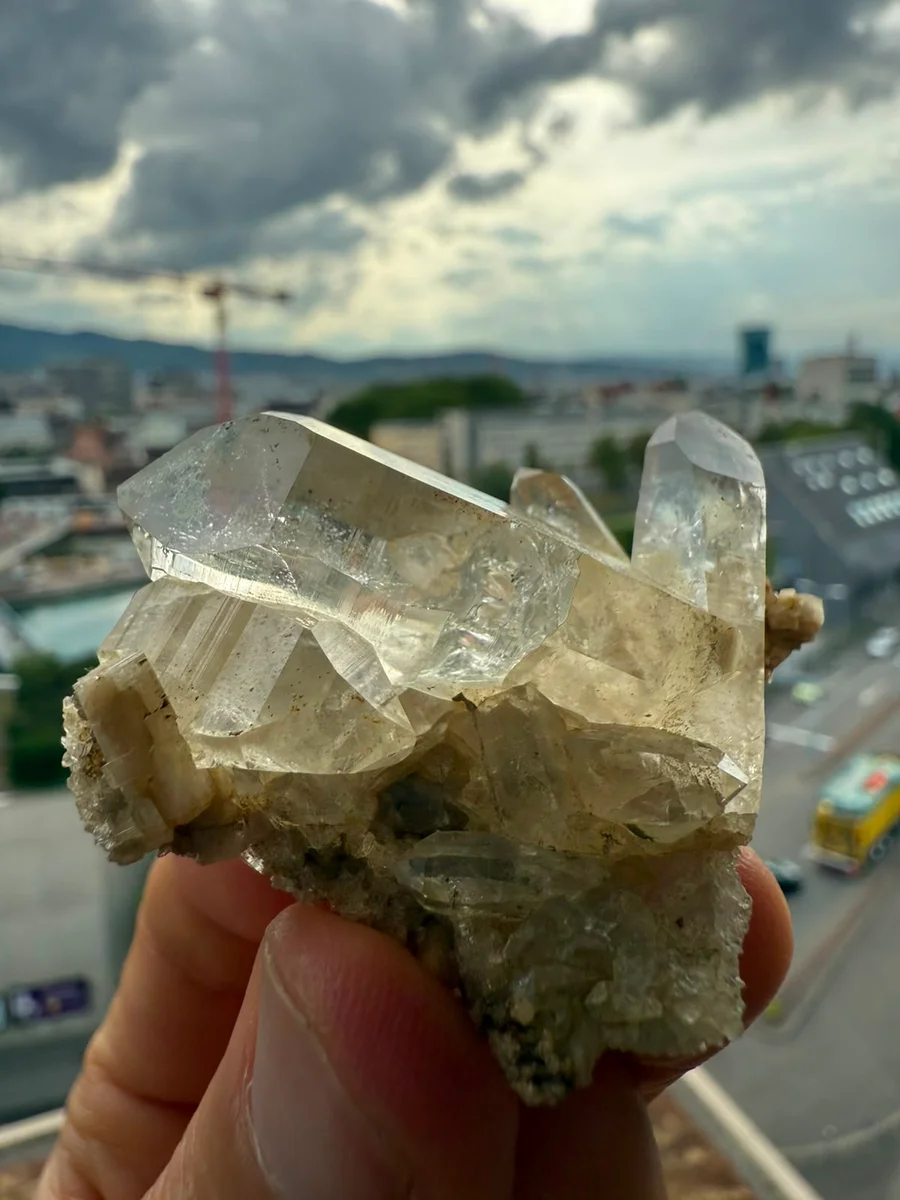 Kombination aus Spitz und Grüppli - Bild 6